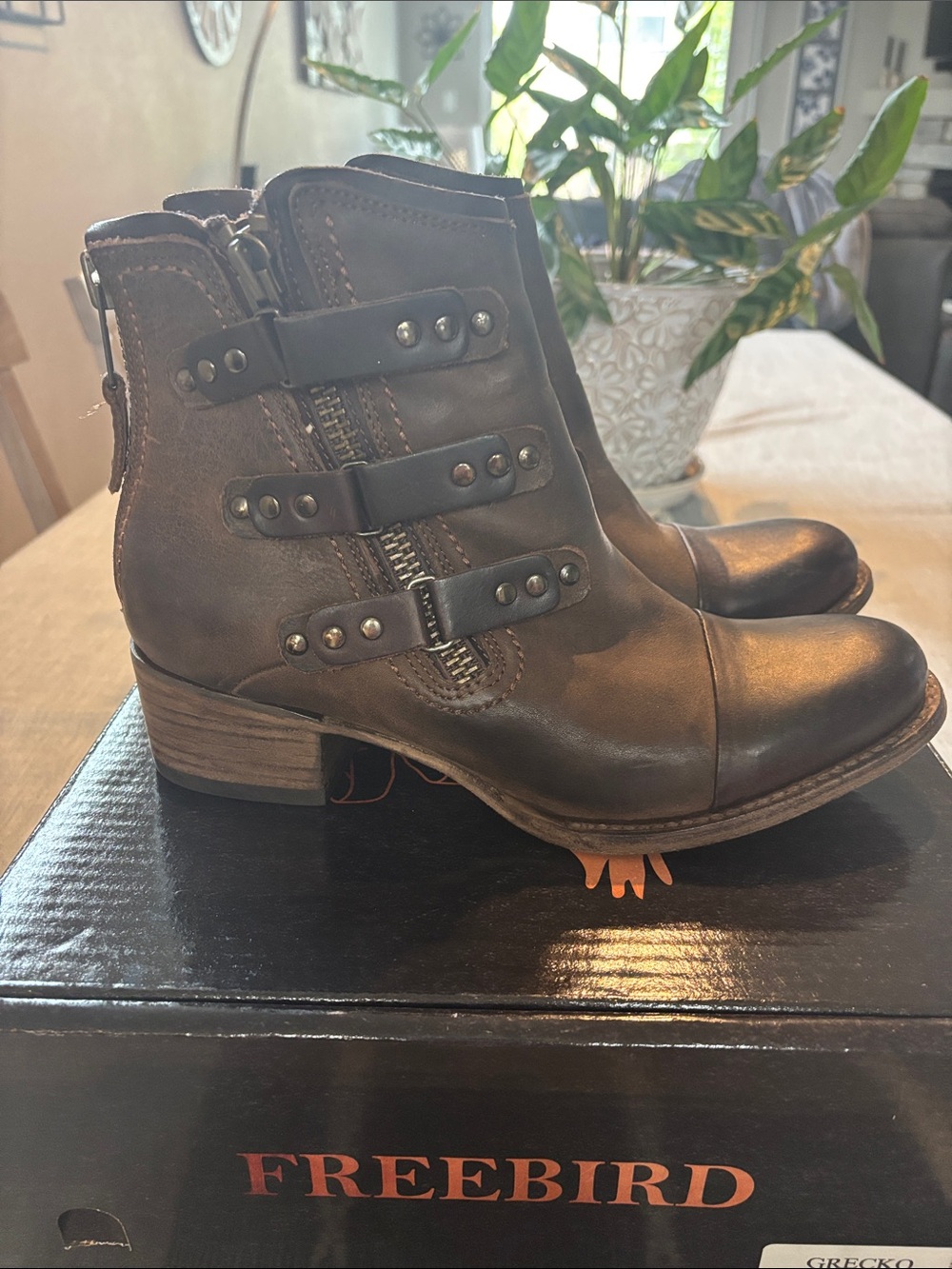 Freebird by Steven Brown  Grecko Studded Strap Leather Ankle Boots